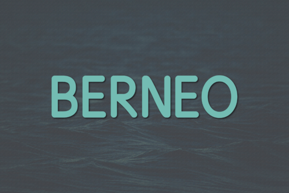 Berneo: The Modern Sans Serif for Effortless Brand Elevation